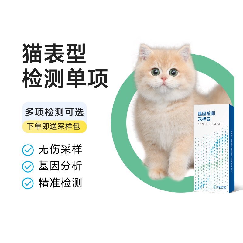 宠知因猫毛色基因检测麻纹重点色