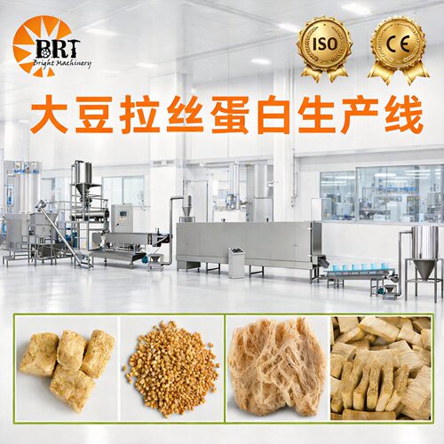 大豆拉丝蛋白生产线  素肉挤出机 Textured Soy Protein Extruder