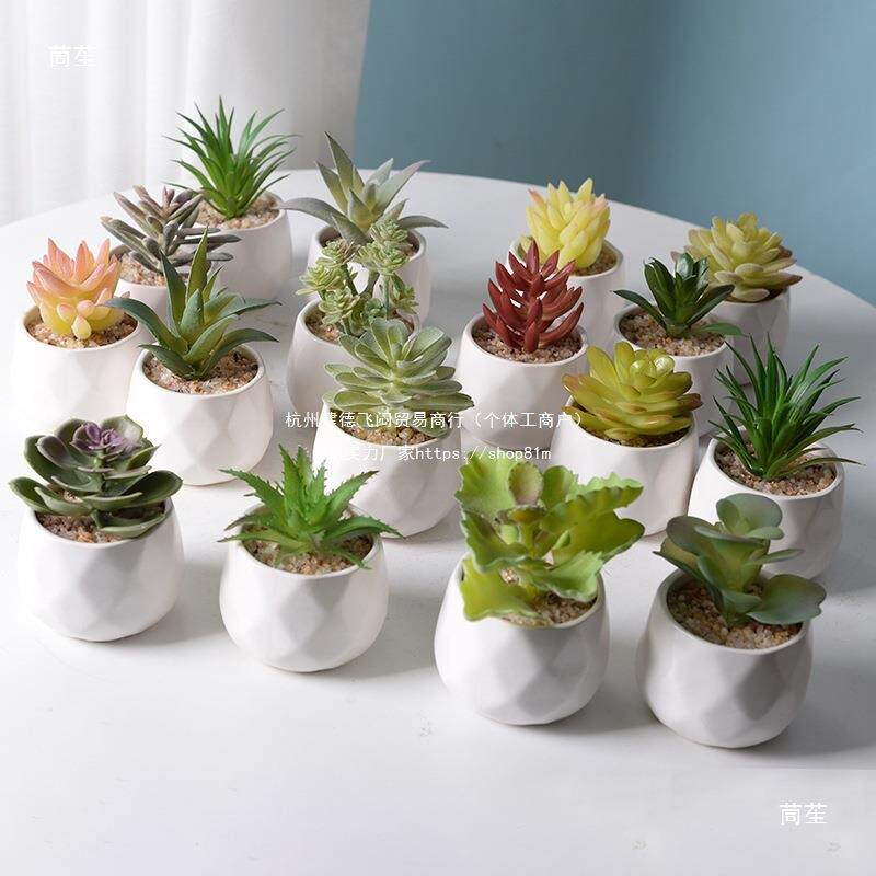 多肉盆栽盆景迷你感小型室内客厅桌面办公室逼真摆件绿植草头盆栽