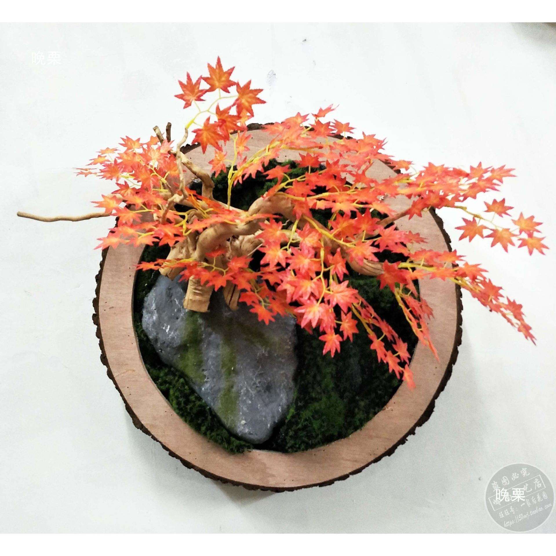 空心花艺装饰圆木盘道具墙壁橱窗装饰插花木片木墩木桩框架