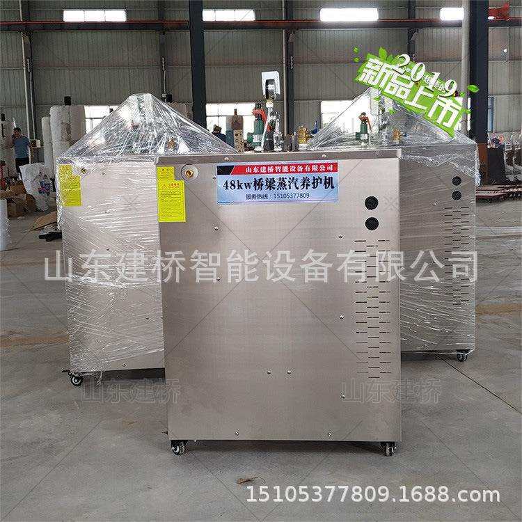 建桥蒸汽发生器商用全自动电加热工业小型豆腐380v发热管蒸气锅炉