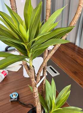 仿真绿植百合竹盆栽北欧风格室内客厅家具假植物装饰落地式摆件