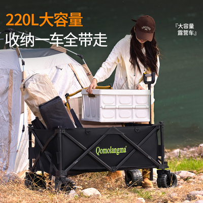 铝合金车身一体铸造轮叉