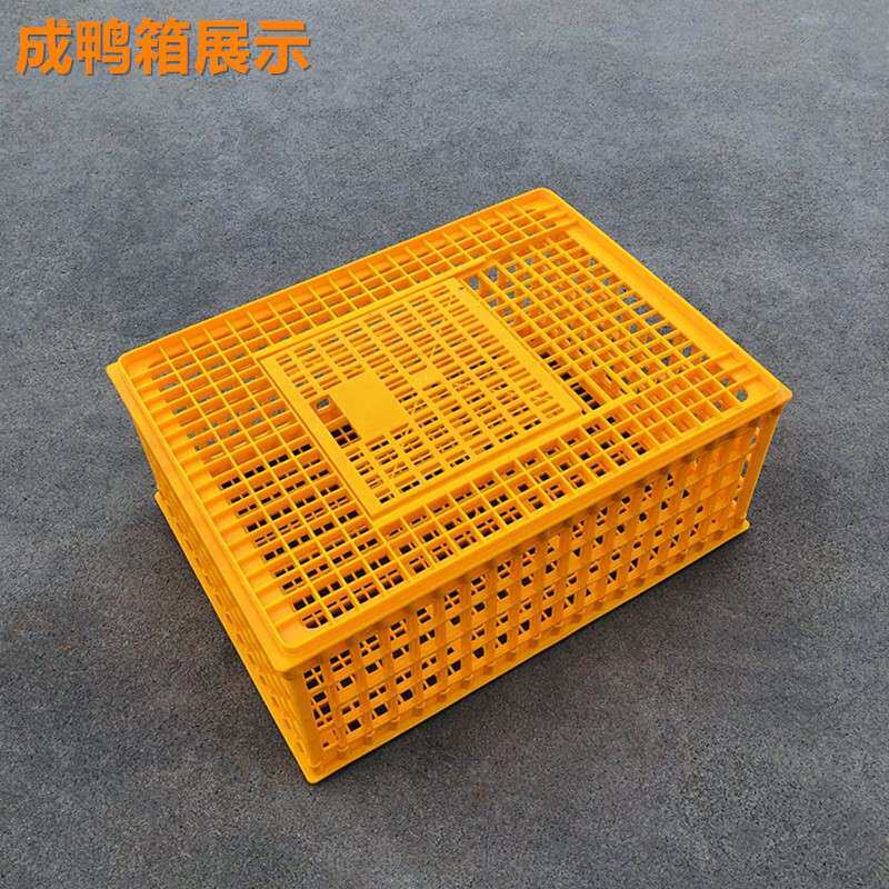 羽佳厂家塑料鸡笼 加厚大号鸡鸭鹅运输笼周转筐成鸡箱家禽周转箱