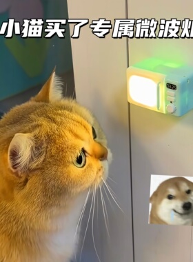 【小猫专属】发光微波炉冰箱贴