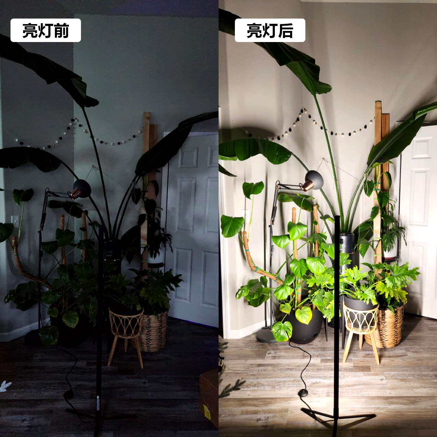 led室内植物生长灯t10全光谱侧发光落地式植物灯中山灯具厂家