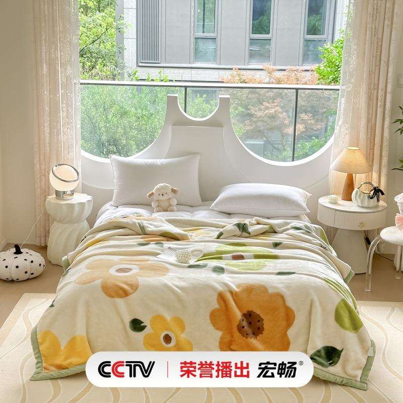 高档加厚双层拉舍尔毛毯被子床单秋季儿童学生宿舍单人午睡小盖毯