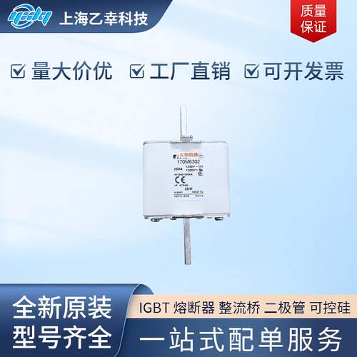 巴斯曼熔断器 170M6316 170M6317 170M6318 170M6325 170M6338