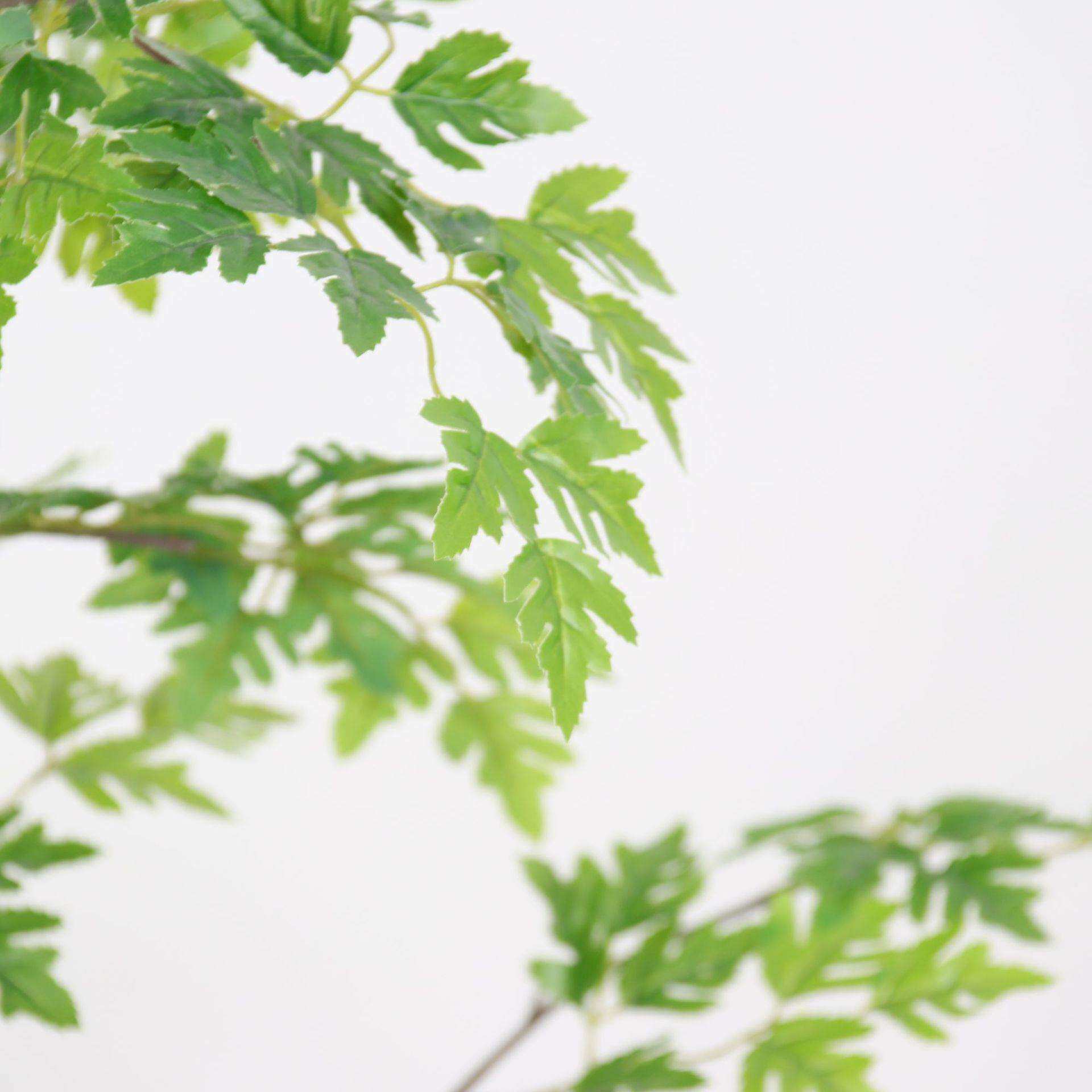 北欧风仿真绿植胡杨树假树盆栽室内家居落地装饰摆件仿生植物造景