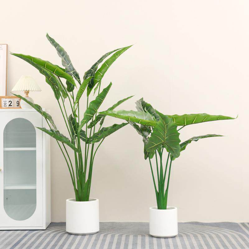 新款仿真海芋绿植盆栽萨利安海芋假树仿真植物室内橱窗造景观装饰