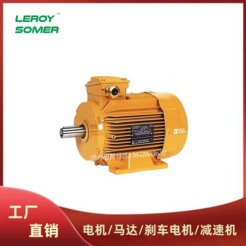 法国LEROY-SOMER电机马达LS LSES系列63 71 80 90 100 112M~200L