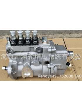 开普喷油泵BHF4PL080040 4PL1231-80-750 4PL1266 4PL1209 3PL151