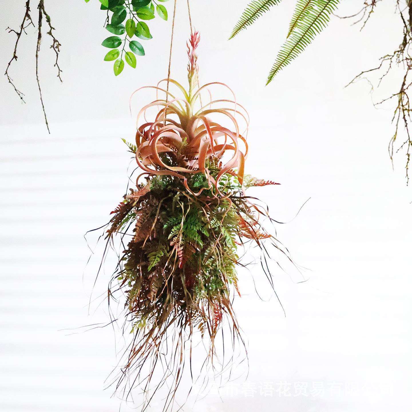 手工创意厥叶植物吊饰空中悬挂饰墙上挂件客厅橱窗植物角阳台装饰