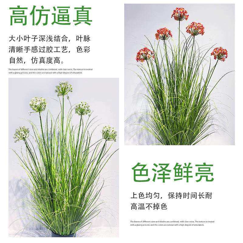 仿真香雪兰盆栽菖蒲兰室内外装饰摆件芦苇草洋葱草橱窗装饰造景