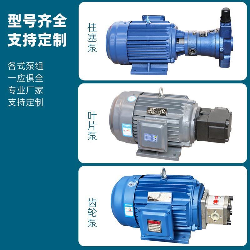 液压油泵电机组定量柱塞泵组液压泵组总成内轴电机液压站配件系统图片
