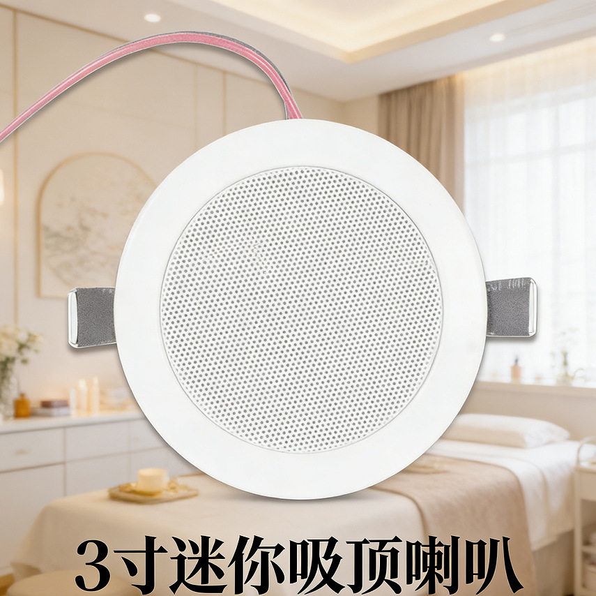 天籁定阻吸顶音箱90mm开孔迷你