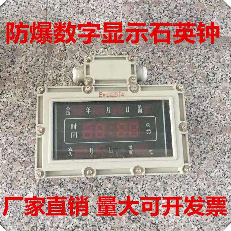 供应壁挂式LED防爆数显时钟 防爆数字显示石英钟带夜光 BSZ2010