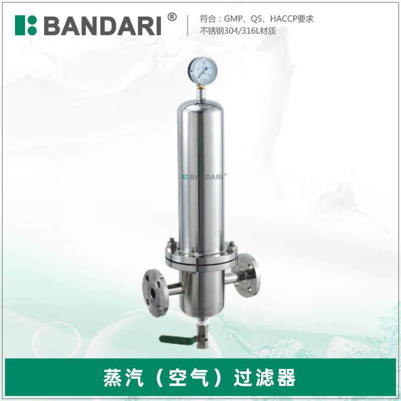 管道蒸汽空气过滤器 卫生级不锈钢针孔式针孔压力过滤器带压力表