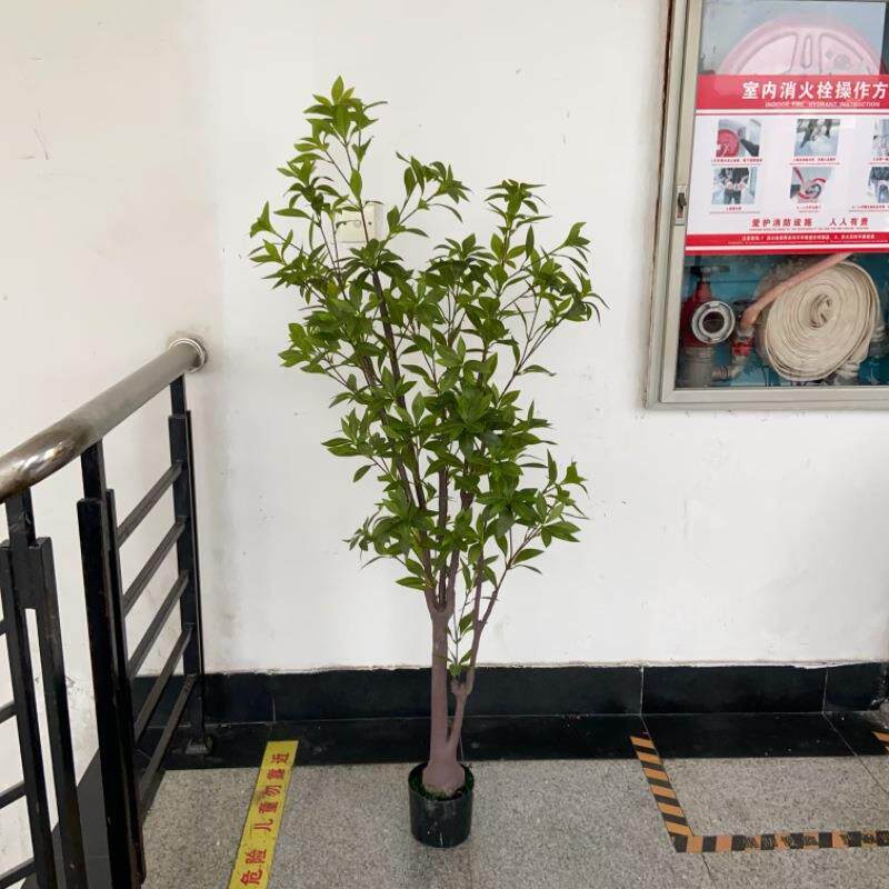 工厂店仿真马醉木植物盆栽小树假树小叶吊钟家居橱窗造景套装