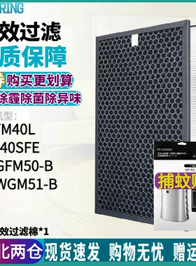 适配夏普空气净化器FU-GFM50/WGM51/GK50-B过滤网FZ-GF50FH/FD芯