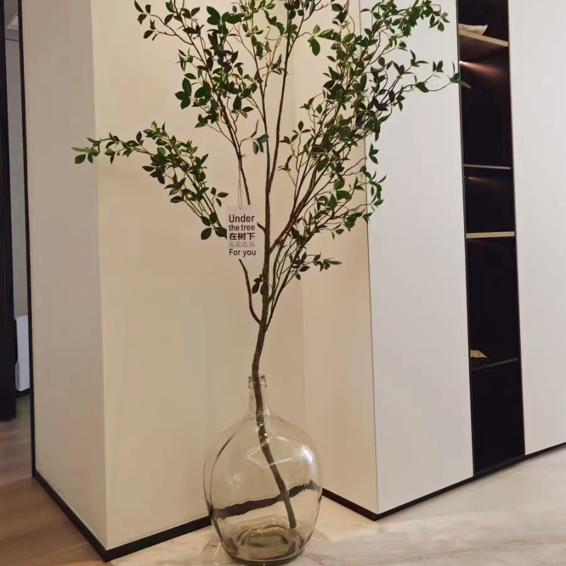 透明玻璃摆件大肚花瓶客厅落地圆肚小口径插花水养马醉木水培吊钟图片