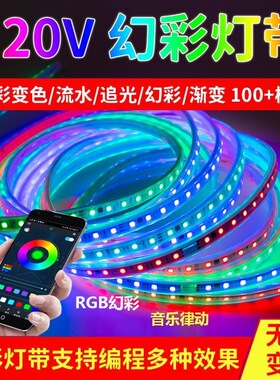 220v高压幻彩流水跑马编程断点续传自粘无压降LED灯带实硅胶防水
