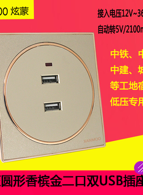 86香槟金船房车usb插座低压12V24VUSB插座36V二孔USB充电插座面板