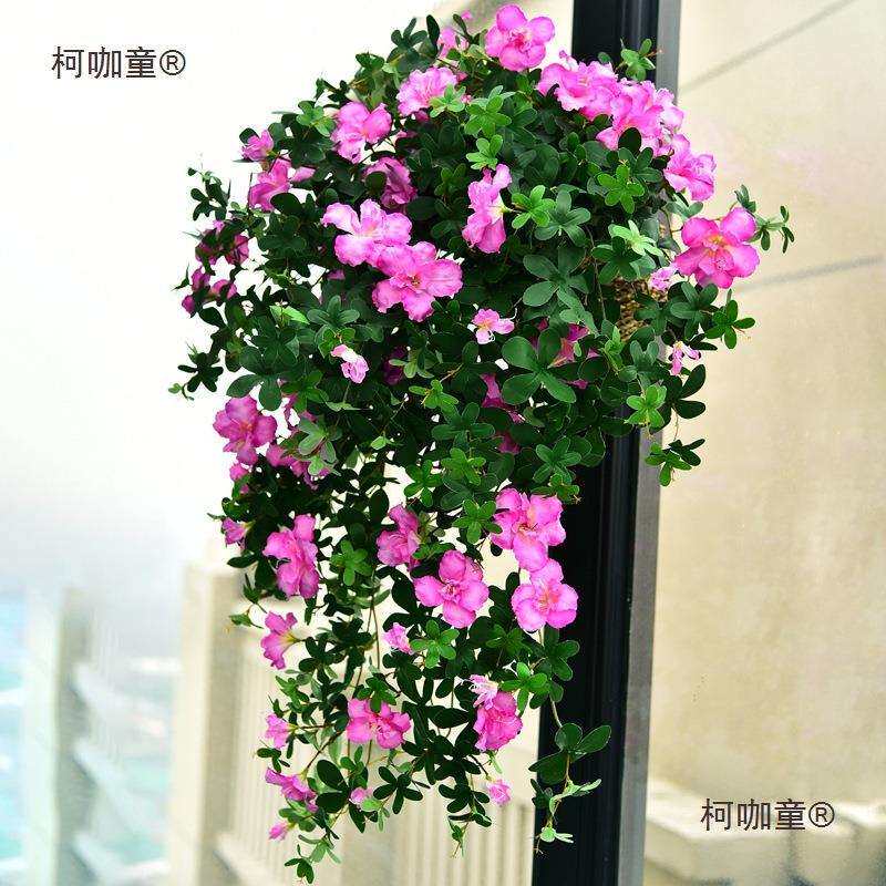 映山红杜鹃花墙面装饰花吊花假花藤条塑料花绿植壁挂吊兰植麦太保