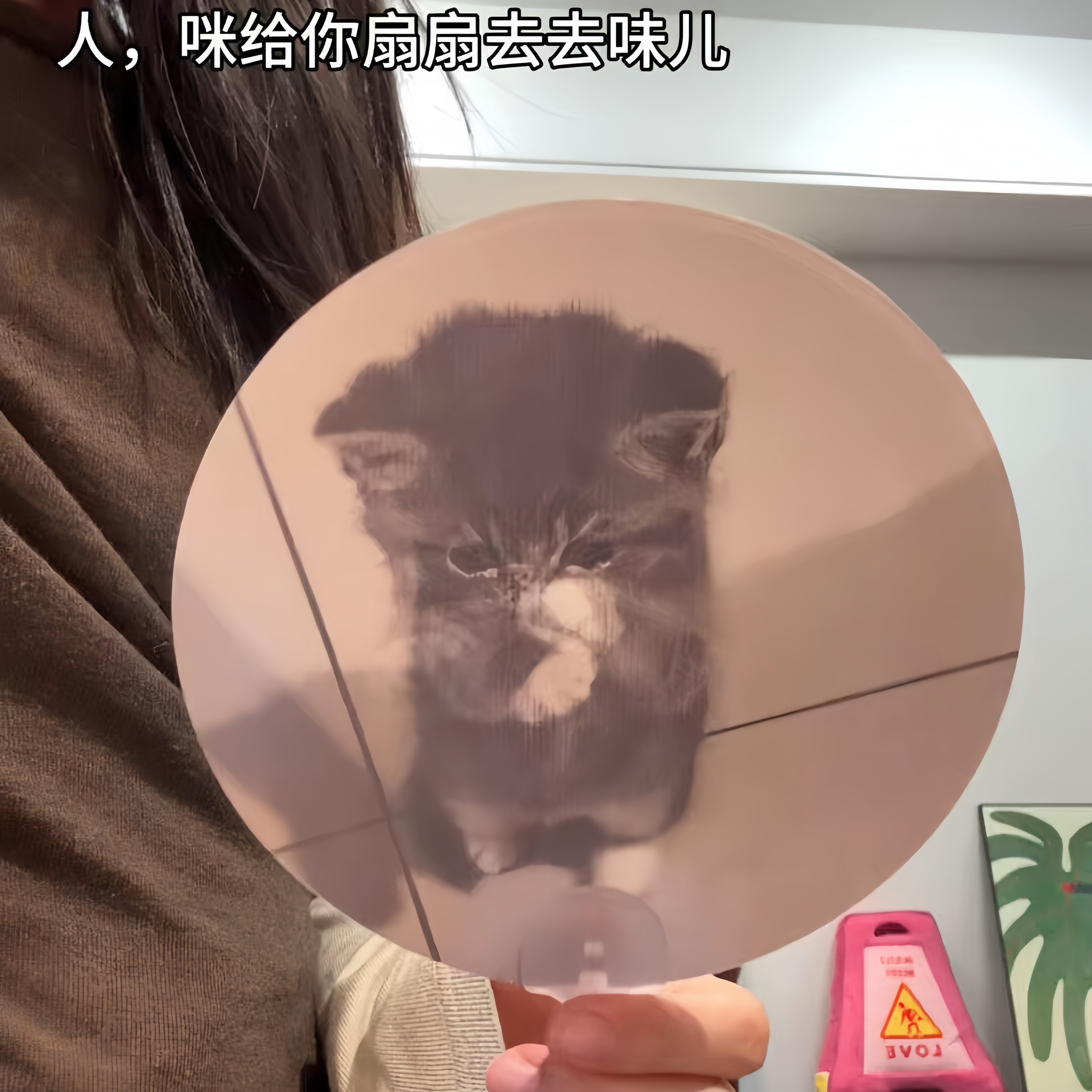猫咪表情包光栅手摇清凉扇子