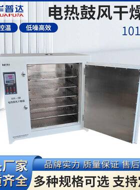 101-3B热恒温鼓风干燥箱实验室小型烘箱烘干机工业材大灯烤箱