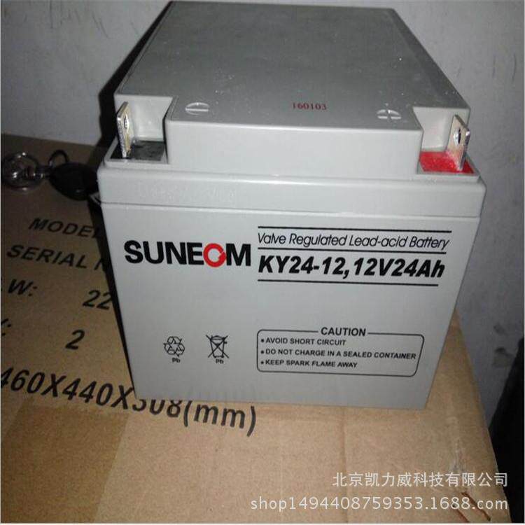 厂家直发SUNEOM新能蓄电池12V6H 12V24AH SH65-12多规格蓄电池