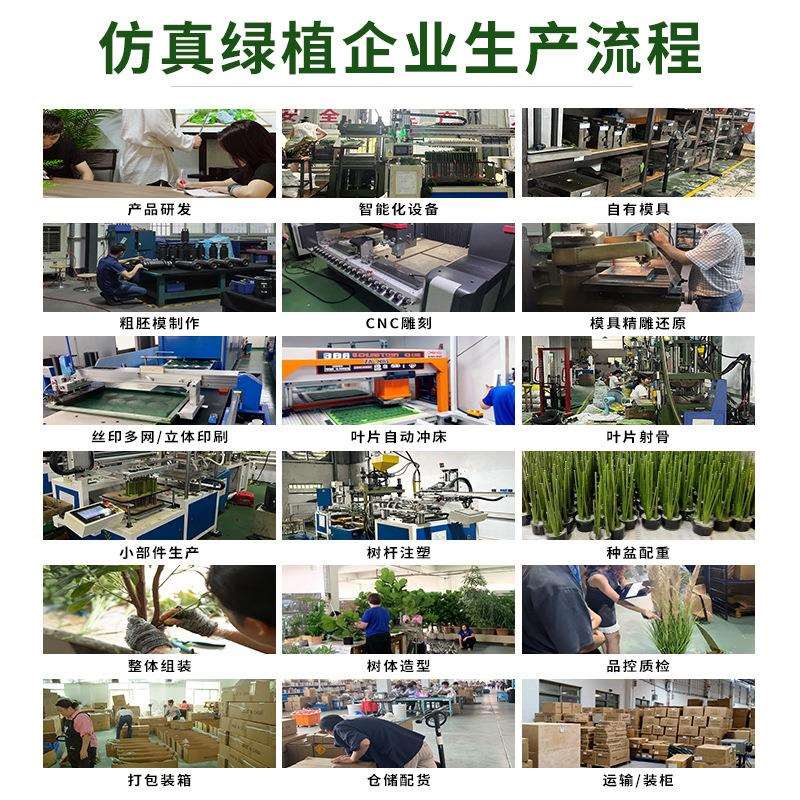 新款仿真绿植旅人蕉天堂鸟盆栽室内家居装饰摆件植物美人蕉仿生