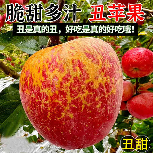 正宗云南昭通丑苹果富士糖心苹果今年果脆甜多汁整箱包邮新鲜水果