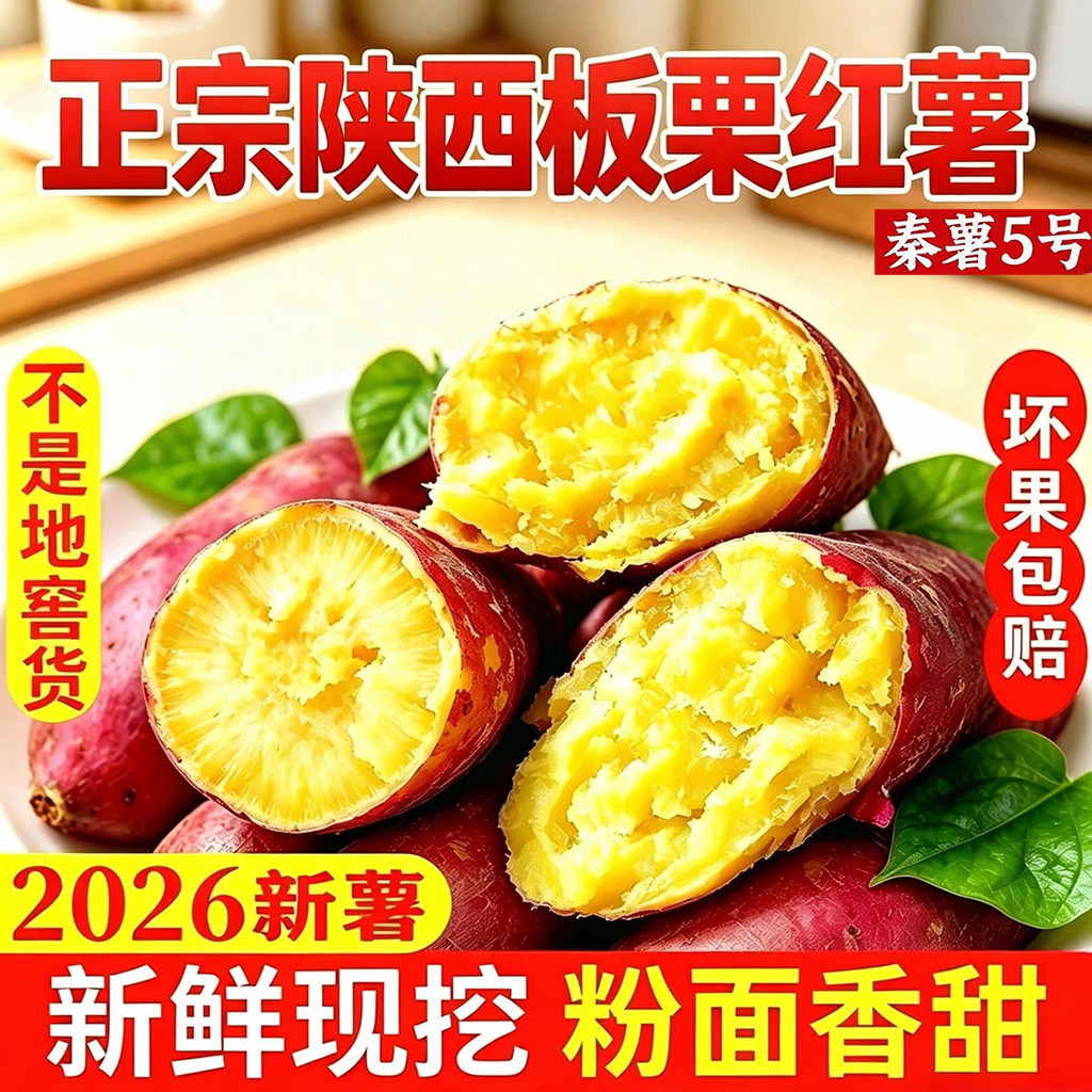 陕西正宗沙地板栗红薯秦薯5号凤翔虢王产地干面粉糯地瓜红苕新鲜图片