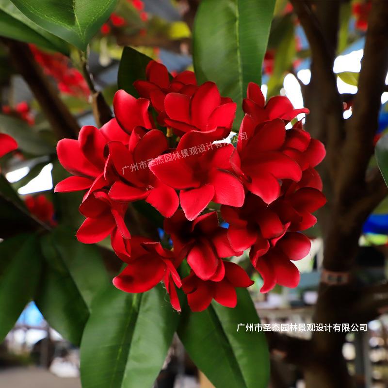 仿真鸡蛋花树红色鸡蛋花树人造大型酒店婚庆装饰园林造景仿真绿植