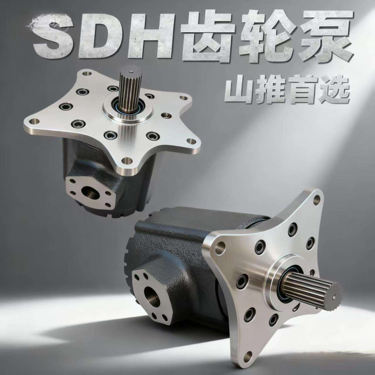 SDH齿轮油泵CBW6系列大排量液压泵转向泵小型齿轮泵供应