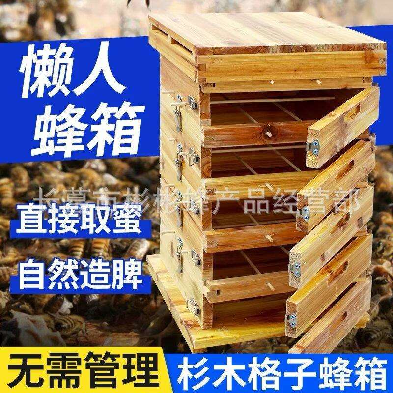 加大格子蜂箱中蜂煮蜡土养蜜蜂箱全套加厚烘干杉木五层蜂箱土蜂桶