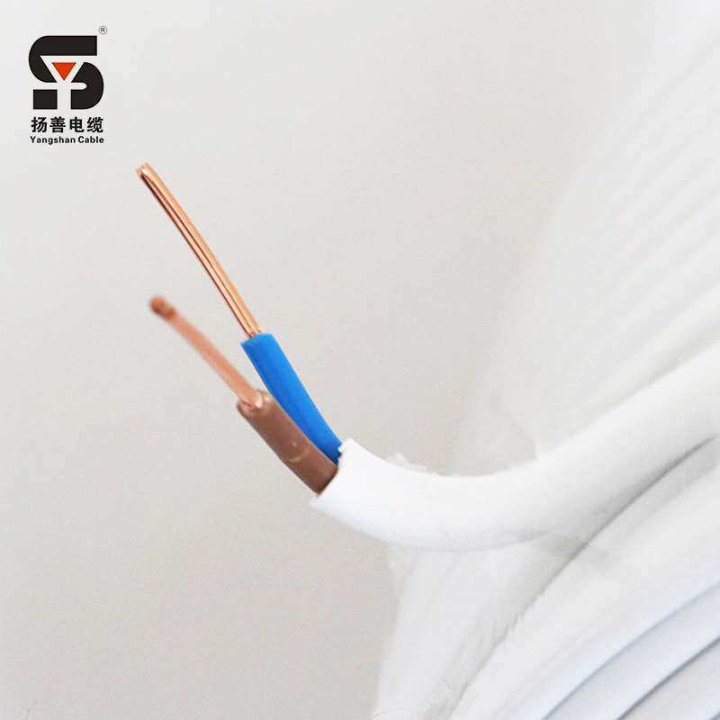 BVVB护套线 铜芯聚氯乙烯绝缘护套扁型两芯电缆线动力传输照明线