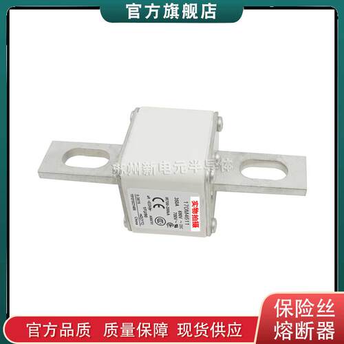 170M4608 4609 4610 4611 4612 巴斯曼bussmann快速熔断器保险丝
