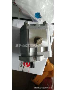 现货供应山推SR20压路机配件263-65-01001 SR20MP 震动泵