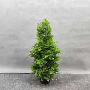 仿真松柏树 仿真绿植罗汉松盆景柏树枝仿真假刺柏侧柏龙塔柏杉树