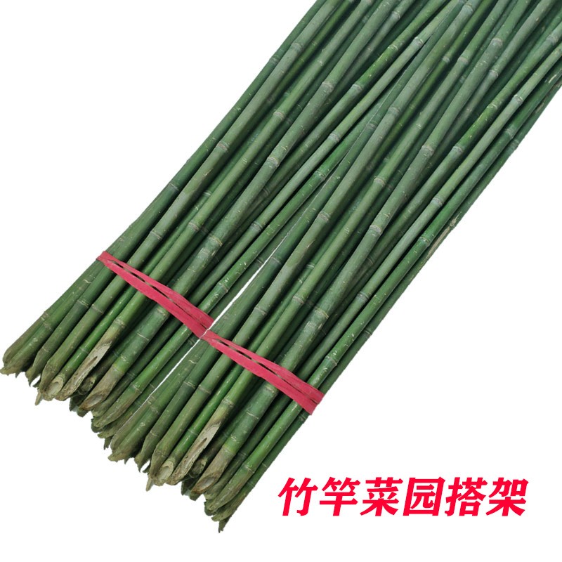 豆角架黄瓜架子小竹子细竹竿菜园搭架 园艺户外棍竹杆1米2米3米
