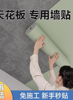 厨顶装饰遮丑仿瓷墙贴纸ZXM-CYQ-自粘花砖扣板吊房顶材料天板自装