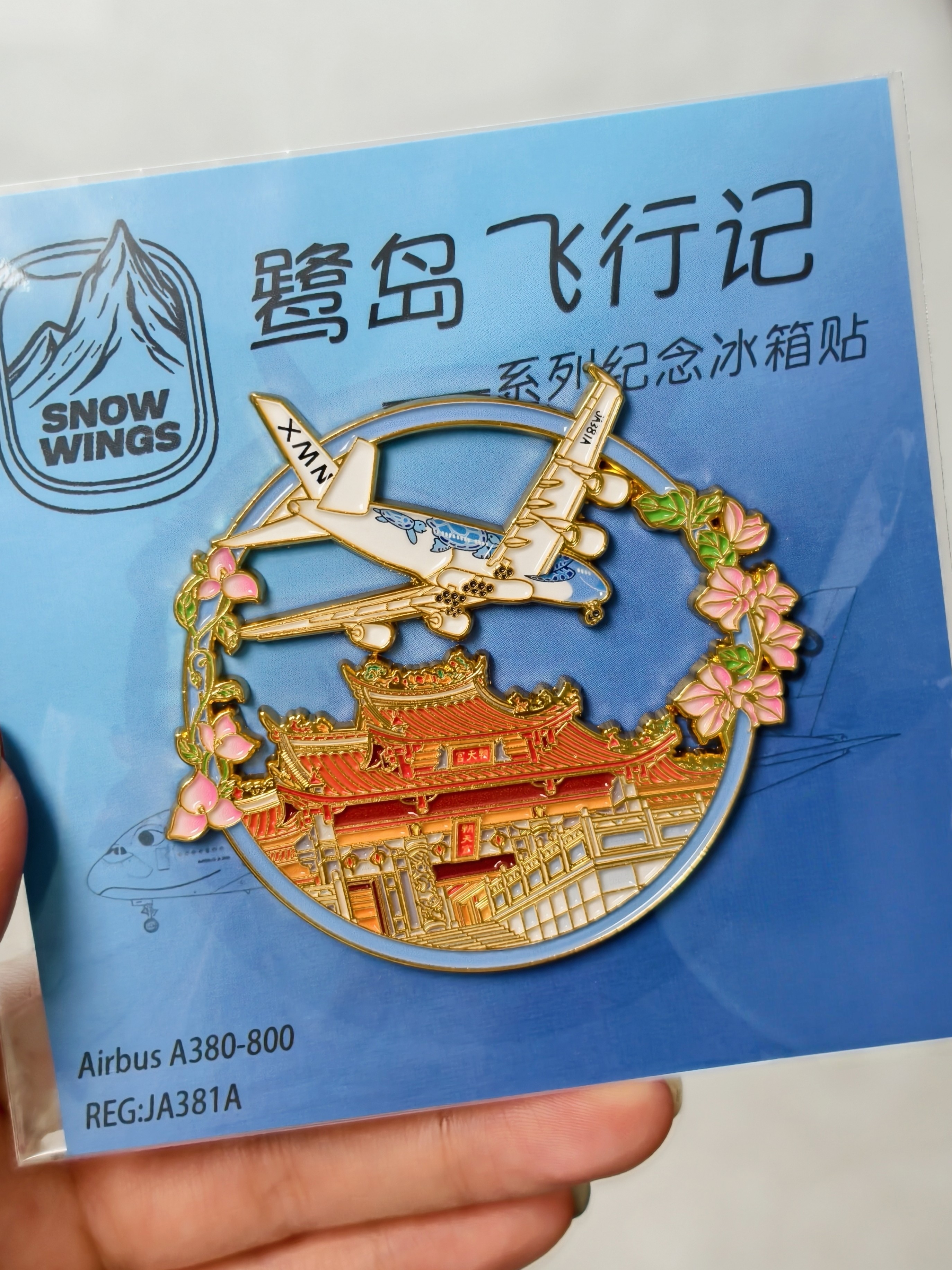厦门朝天宫蓝色海龟彩绘飞机原创设计金属冰箱贴旅游纪念收藏装饰