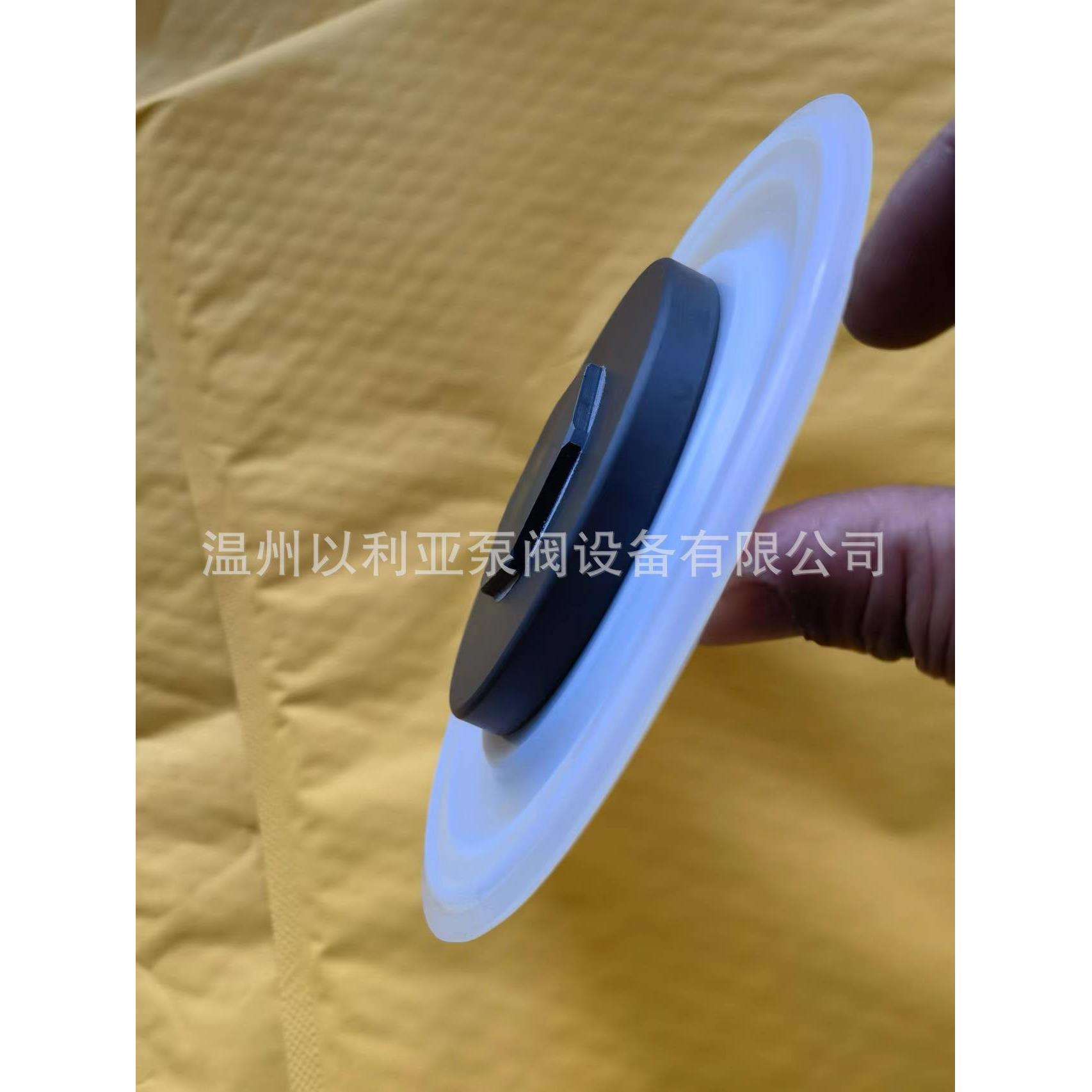 PULSAFEEDER帕斯菲达膜片械隔膜计量泵配件DM7B3PP油封 隔膜组件