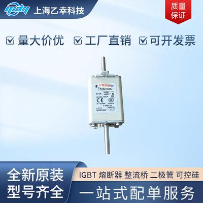 巴斯曼熔断器 170M3984 170M3985 170M3986 170M3987 170M3988