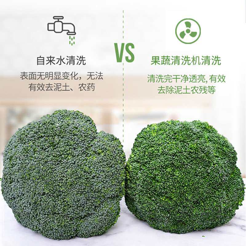 全自动气泡清洗机水果蔬菜土豆多功能果蔬洗菜机不锈钢商用净洗机