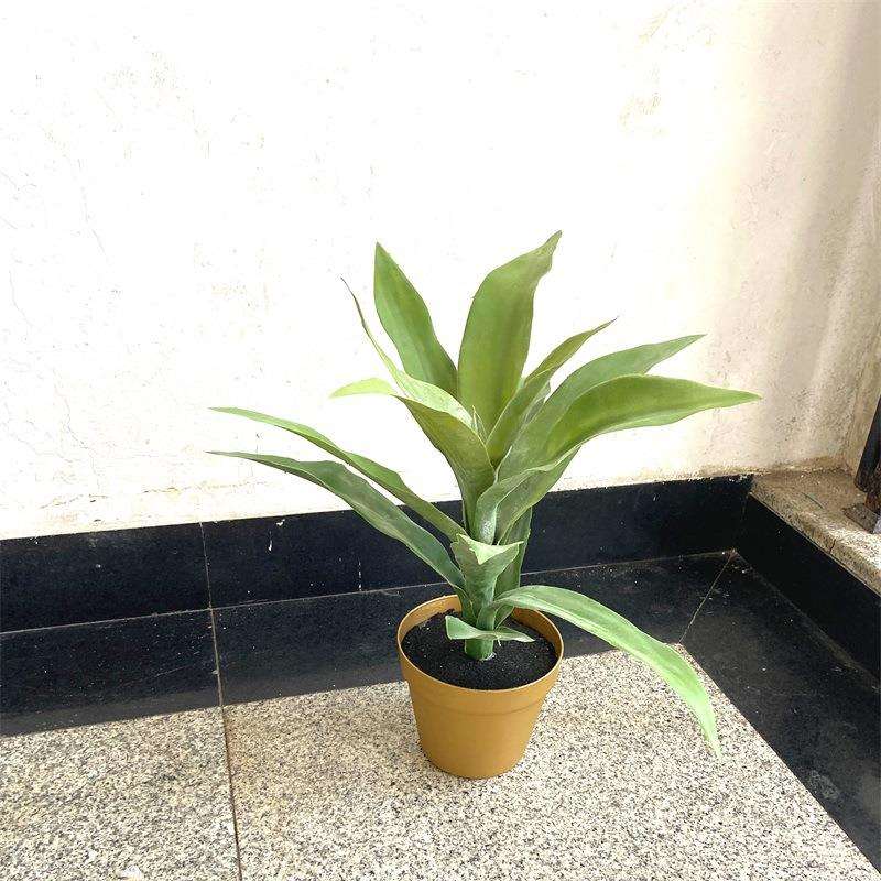 工厂店北欧仿真盆栽多肉类蕨类绿植景观酒店软装民宿装饰园艺摆件