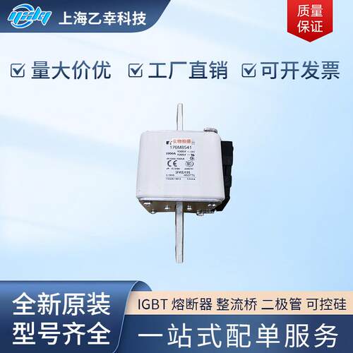 巴斯曼熔断器 170M8509 170M8510 170M8511 170M8512 170M8513