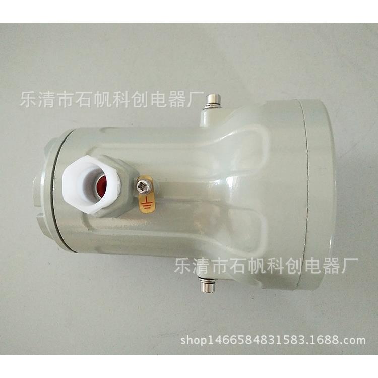 LED防爆视孔灯 3W/5W/7W/10W 电压220V/36V/24V/12V 镜射灯BSD